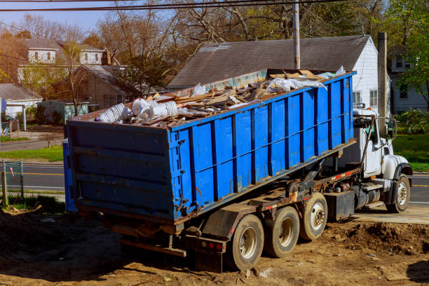 Best Shed Removal  in Chester Gap, VA